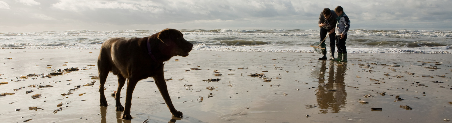 LaLucia_rotatingbanner_dogwithfamilyatbeach